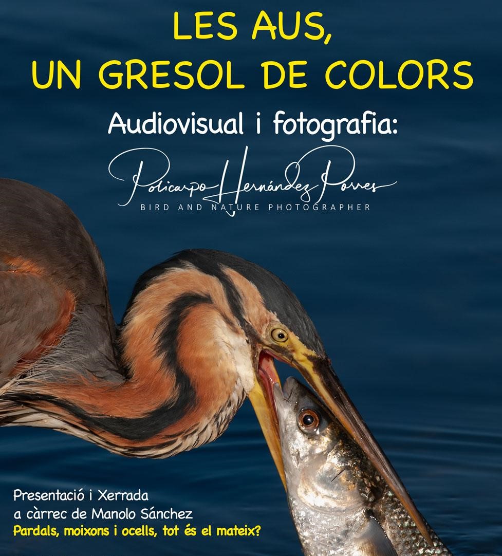 AUDIOVISUAL I FOTOGRAFIA: “Les aus, un gresol de colors”