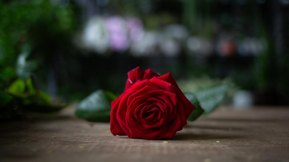 L'AMPA ens felicita la diada de Sant Jordi