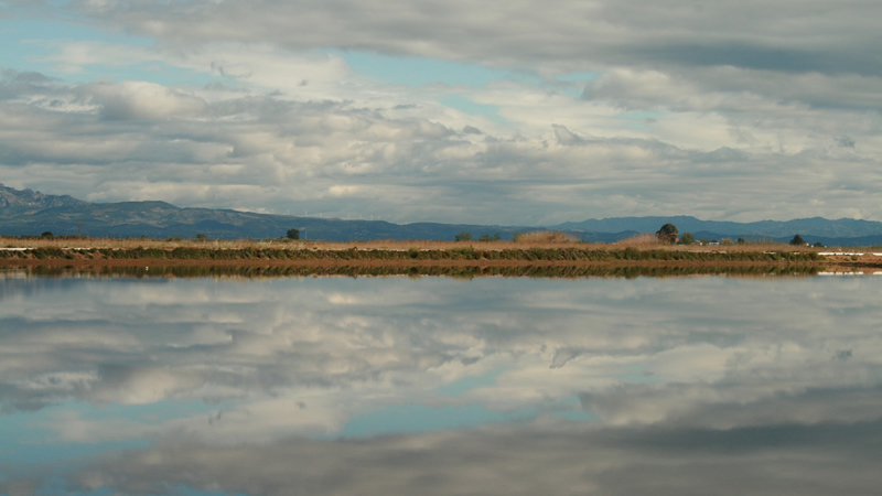 Projecte sobre el Delta de l'Ebre