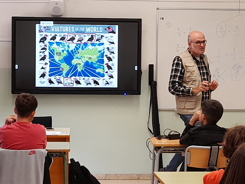 El trencalòs i altres voltors dels Ports