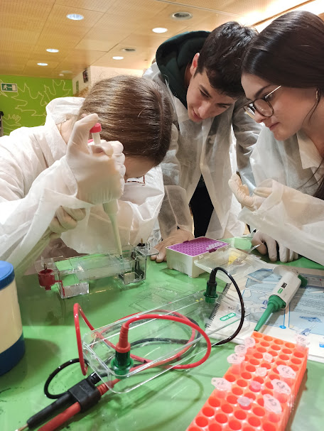 Visita i taller al Cosmocaixa