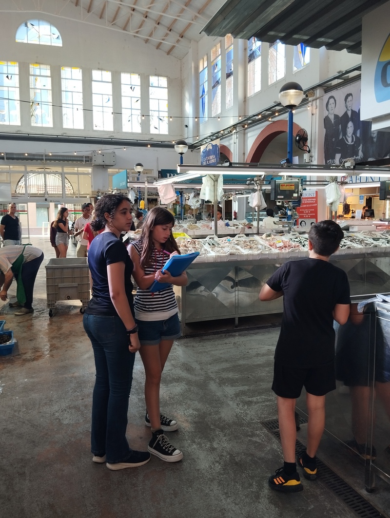 Visitem el mercat amb el treball de síntesi