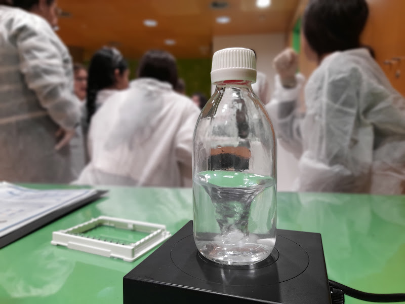 Taller científic i visita al Museu de la Ciència de Barcelona