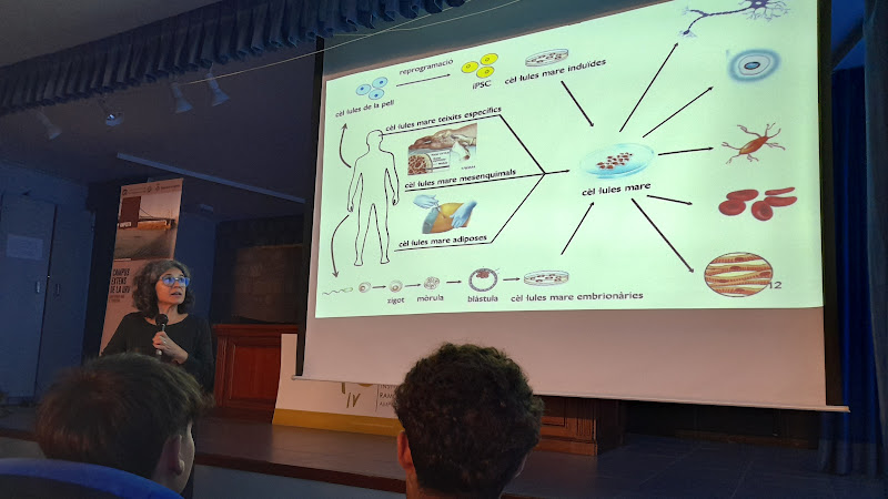 Podem crear òrgans artificials al laboratori?